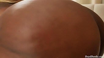 खूबसूरत मोटी महिलाएं बड़े काले लंड को हार्डकोर वीडियो में सिर देती हैं