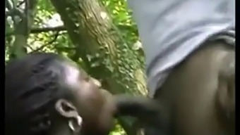 Black Ebony Beauties Get Down And Dirty In Africa