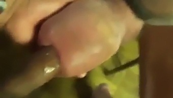 Giant Members And Bestial Erections