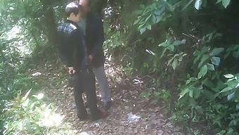Gay Asian Park Cruising For Outdoor Fun