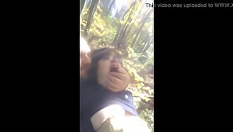Stay Away From The Woods Alone