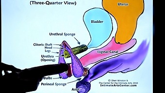 European Teacher Guides You Through The Art Of Female Ejaculation